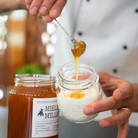 Clipper 4* פסארו